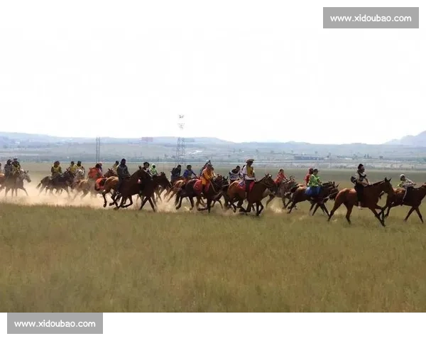 激情四溢的小马竞技赛：挑战速度与耐力的极限盛宴